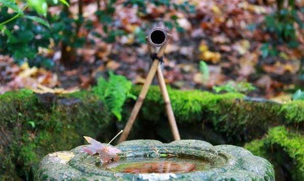 中式和日式庭院的比較分析